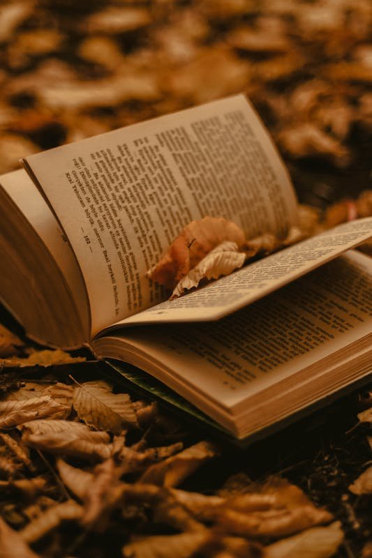 book review showing an open book in a field