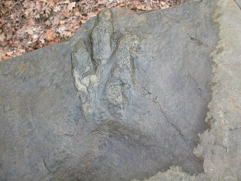 three‑toed footprint from Anchisauripus sillimani on am bridge in Gettysburg PA