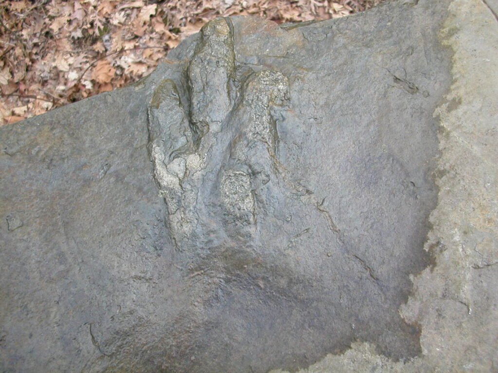 three‑toed footprint from Anchisauripus sillimani on am bridge in Gettysburg PA